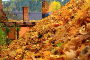 fall leaves on roof with chimneys in the background